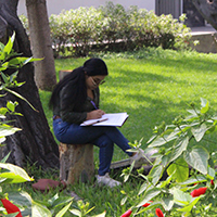 Mujer joven sentada en un jardin tomando notas